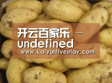 产品展示标题6