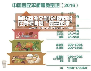 阿联酋外交部说4艘商船在其领海遭“蓄意破坏”_开运体育(图2) 开运体育