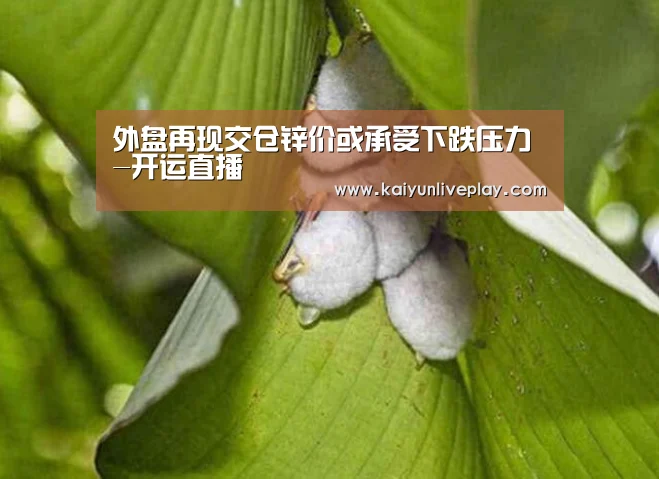 外盘再现交仓锌价或承受下跌压力-开运直播(图3) 开运体育