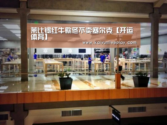 莱比锡红牛歇冬不卖塞尔克【开运体育】(图2) 开运官网