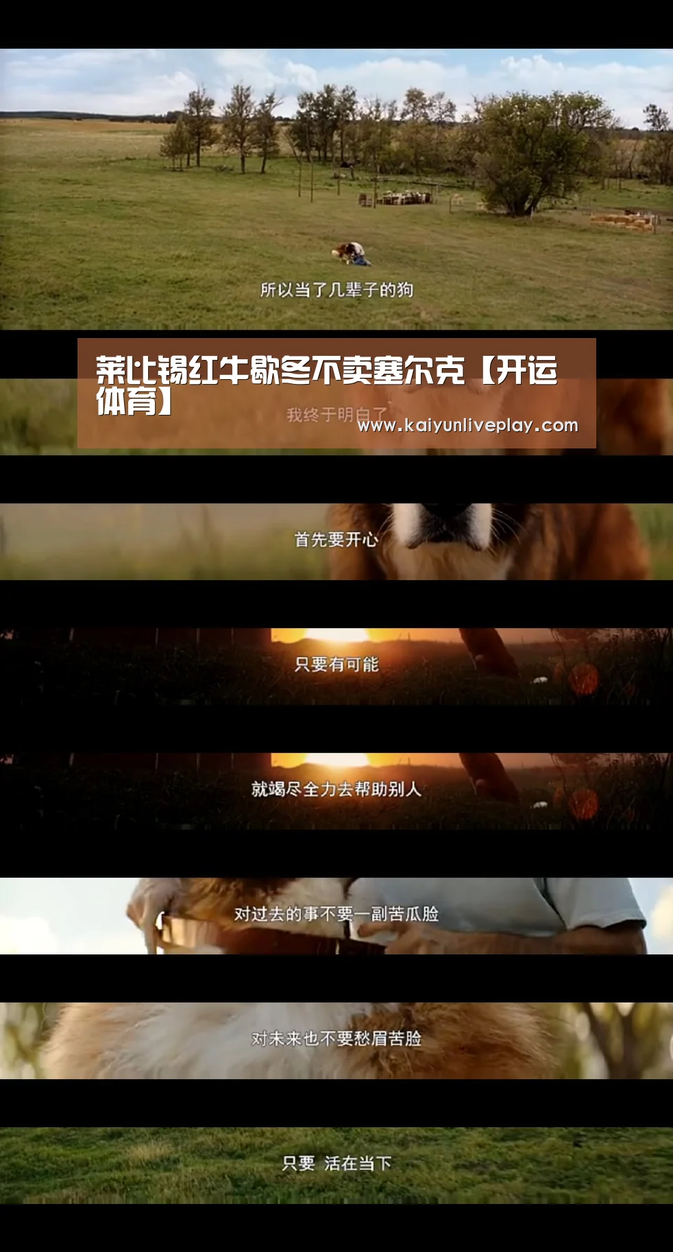 莱比锡红牛歇冬不卖塞尔克【开运体育】(图3) 开运体育