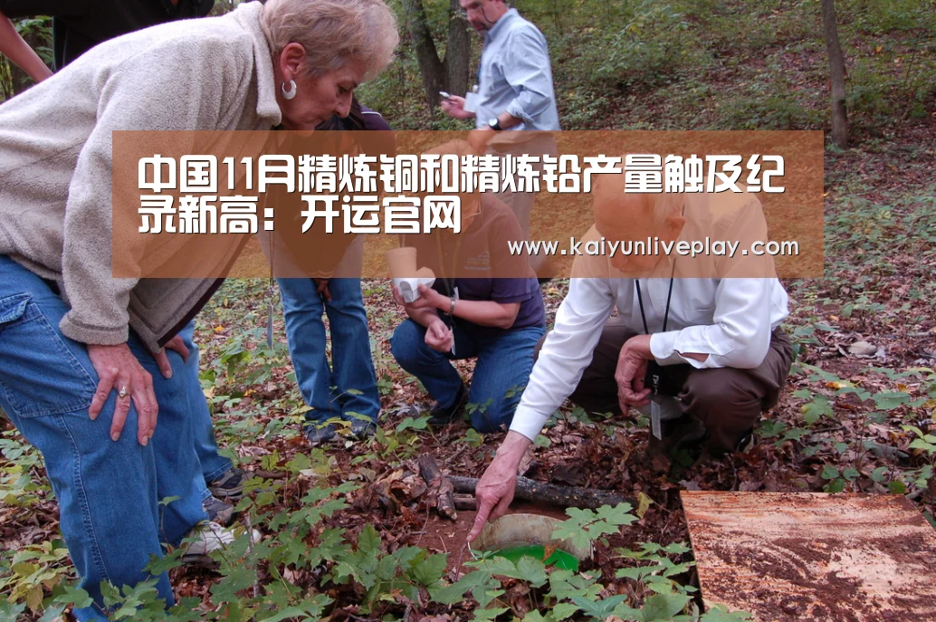 中国11月精炼铜和精炼铅产量触及纪录新高:开运官网(图2) 开运体育